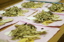 上半年我国中药材及饮片出口额达6.18亿美元