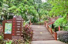 肇庆一景区名满全省，风车群与瀑布群是游客最爱