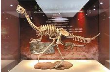 “中国恐龙的新家”第八站 走进河源恐龙博物馆
