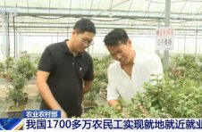 农业农村部：我国1700多万农民工实现就地就近就业