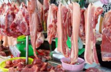 12月猪肉价上扬 广东后市猪价肉价如何？