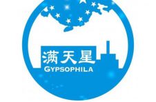 中国海运物流企业的新星——满天星物流