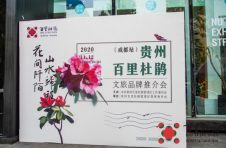 以花寄情用爱发声百里杜鹃文旅品牌形象及新书《百里花书》在成都明堂“纽空间”举行