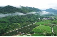 文化和旅游部：继续执行“75%”政策