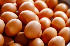 上周广州蔬菜、鸡蛋价格回落