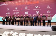 【大会·动态】2020“一带一路”赤壁青砖茶产业发展大会盛大开幕