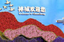 广东佛开高速张槎收费站今日通车，巨幅绝美花墙即将亮相禅城！
