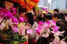广东多地停办2021年迎春花市 提倡通过网络渠道购买年花