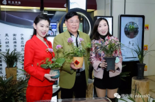 2021迎春网络年货节零号时光来助力，韶关兰花云展会盛大启动