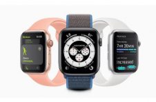 苹果向开发人员发布了tvOS 14.6 RC和watchOS 7.5 RC