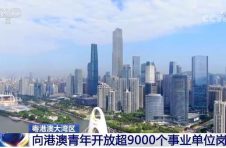 粤港澳大湾区向港澳青年开放超9000个事业单位岗位