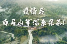众志成城  抗击疫情，天门郡莓茶在行动：捐赠价值68万元物资