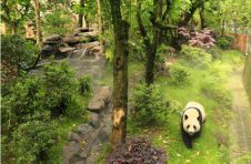 广州市有7条“广东省森林旅游100条特色线路”