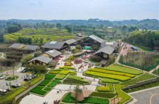 十部门印发《数字乡村发展行动计划（2022-2025年）》