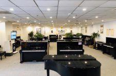 重磅！中国领先的钢琴租赁服务提供商丁丁租琴进驻广东省市场