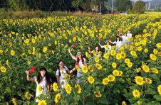 广州将打造珠江文化旅游廊道 “十四五”期间着力建设世界级旅游目的地