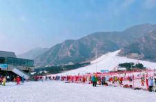 数看“广东力量”闪耀2022北京冬奥会 广东冰雪产业正迅速“燃”起