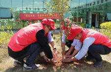 中建四局惠州农产品基地项目开展志愿植树活动