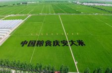 截至9月末，广州粮食库存总量超256万吨