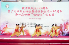 展武术之美，扬文化之光，聚团结之力